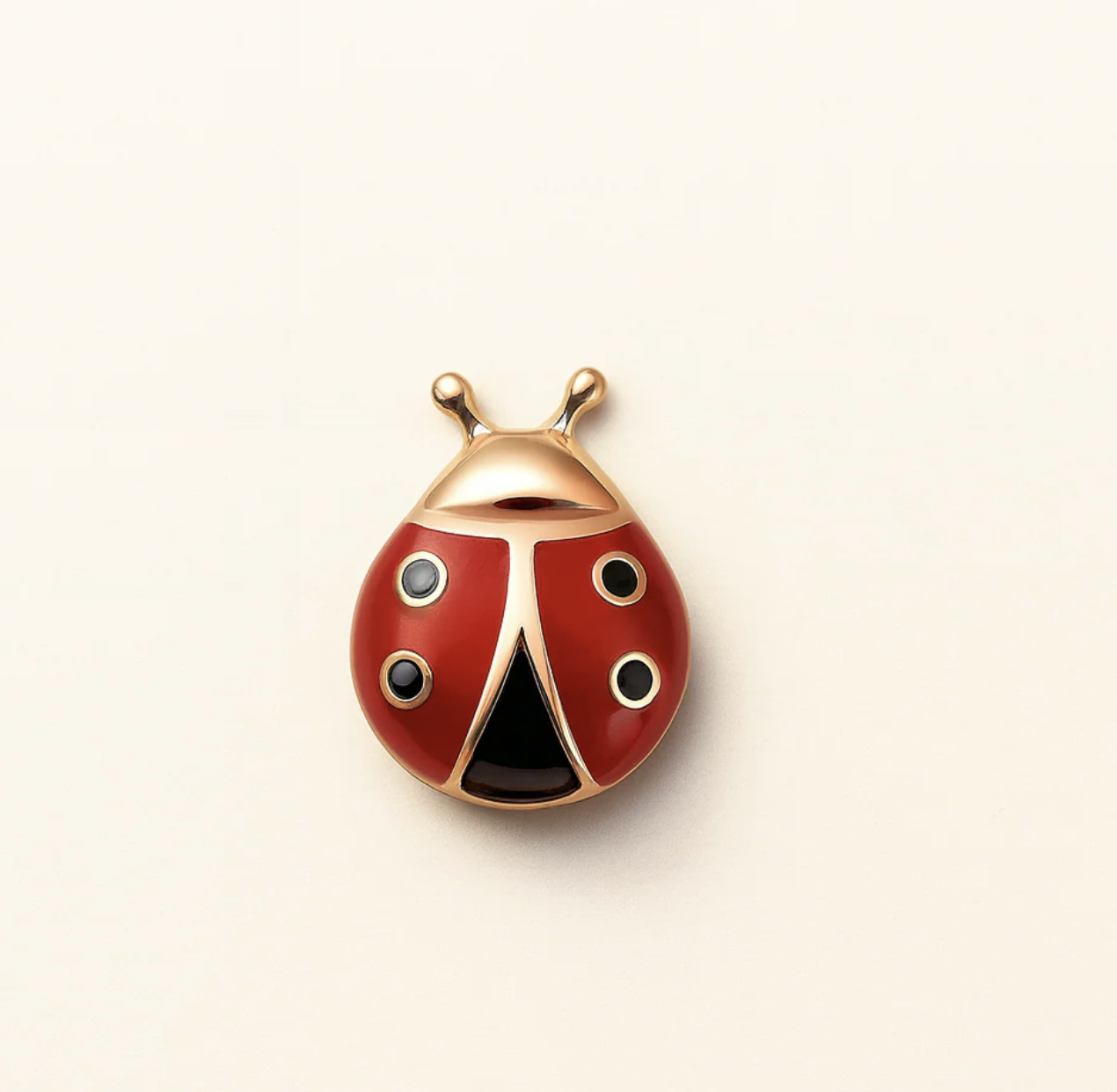 Lady Bug Charm